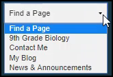 find a page menu expanded