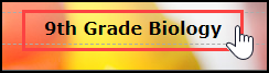 top of my website with website title box highlighted