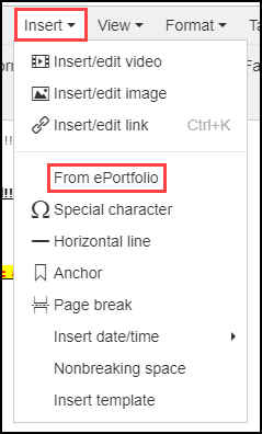 insert menu option with insert and from e portfolio buttons highlighted